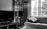Curved Sofa Styling Ideas for Softer, More Social Rooms